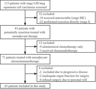 Pathologic response and safety to neoadjuvant PD-1 inhibitors and chemotherapy in resectable squamous non-small-cell Lung cancer